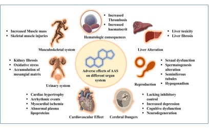 Optimizing Muscle Growth and Performance: Steroids EU and Testosterone Propionate