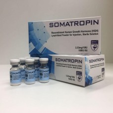 HGH Somatropin/powder HILMA Biocare